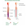 High Quality Women Sports Customized Zipper to Prevent Varicose Compression Socks