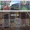 Men 100 Cotton Sublimation Print Thick Sport Crew Socks Running Sox