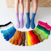 Solid Candy Color 100% Cotton Soft Breathable Women Men Crew Socks