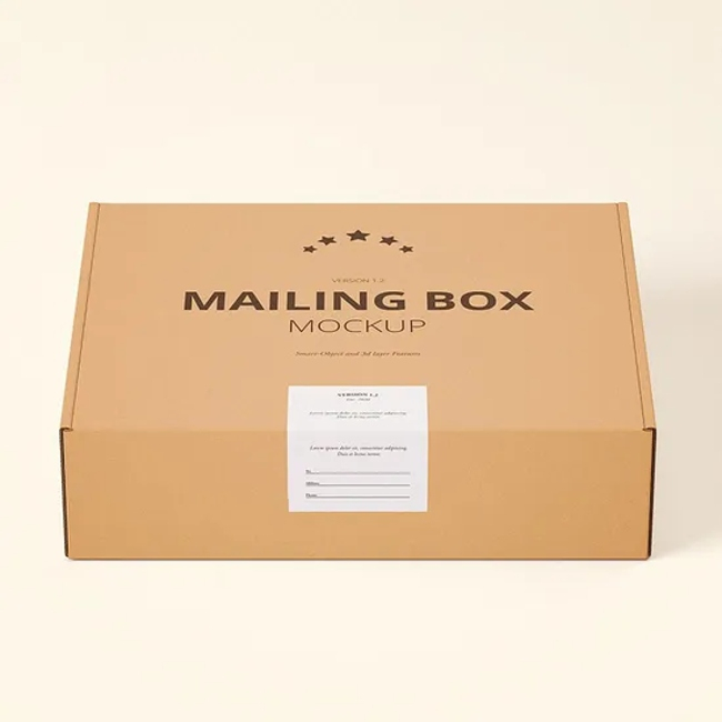 Custom Logo White/Kraft Packaging Kraft Corrugated Paper Mailer Shipping Boxes for Small Business