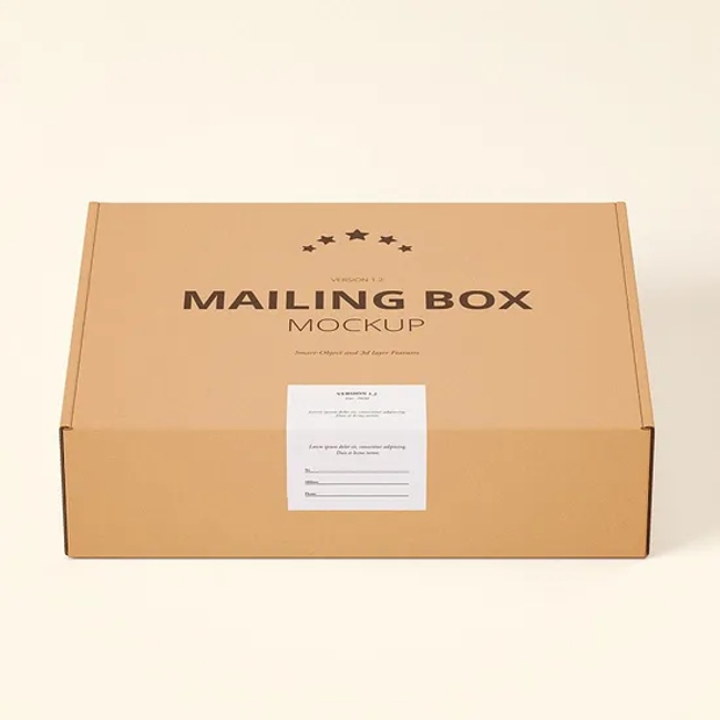 Custom Logo White/Kraft Packaging Kraft Corrugated Paper Mailer Shipping Boxes for Small Business