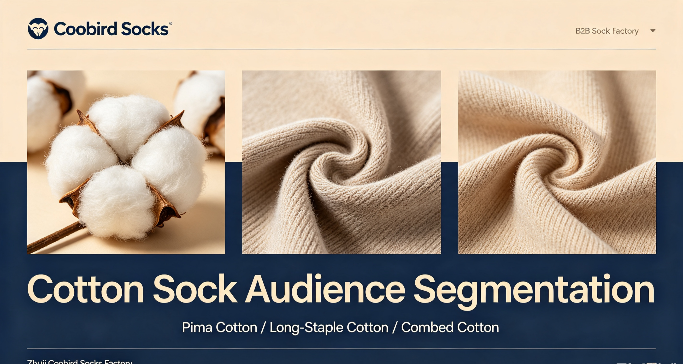 Pima Cotton / Xinjiang Longstaple Cotton / Regular Combed Cotton: Cross-border Target-audience Segmentation Guide