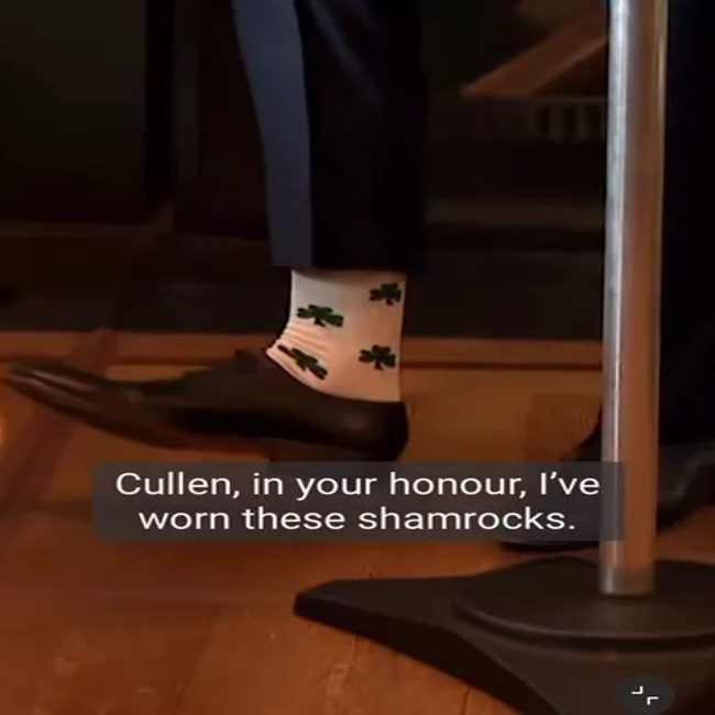 Vance′s Identische Trump Socks Green Clover MID-Calf Large Size Cotton Socks